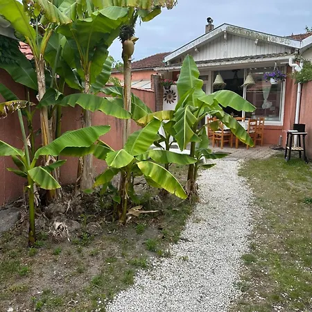 Сasa de vacaciones Un Petit Coin De Paradis 33 N5 Soulac-sur-Mer